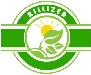 Billizer Indonesia